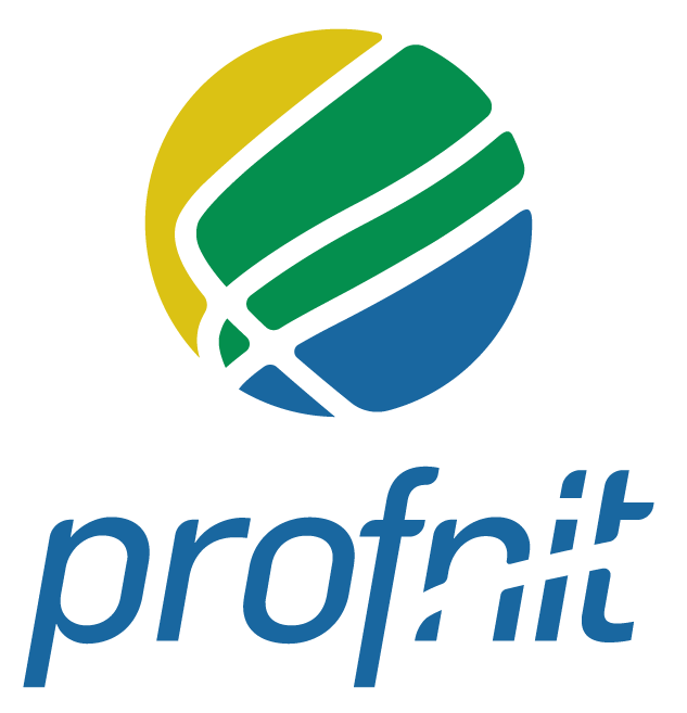 Logo PROFNIT